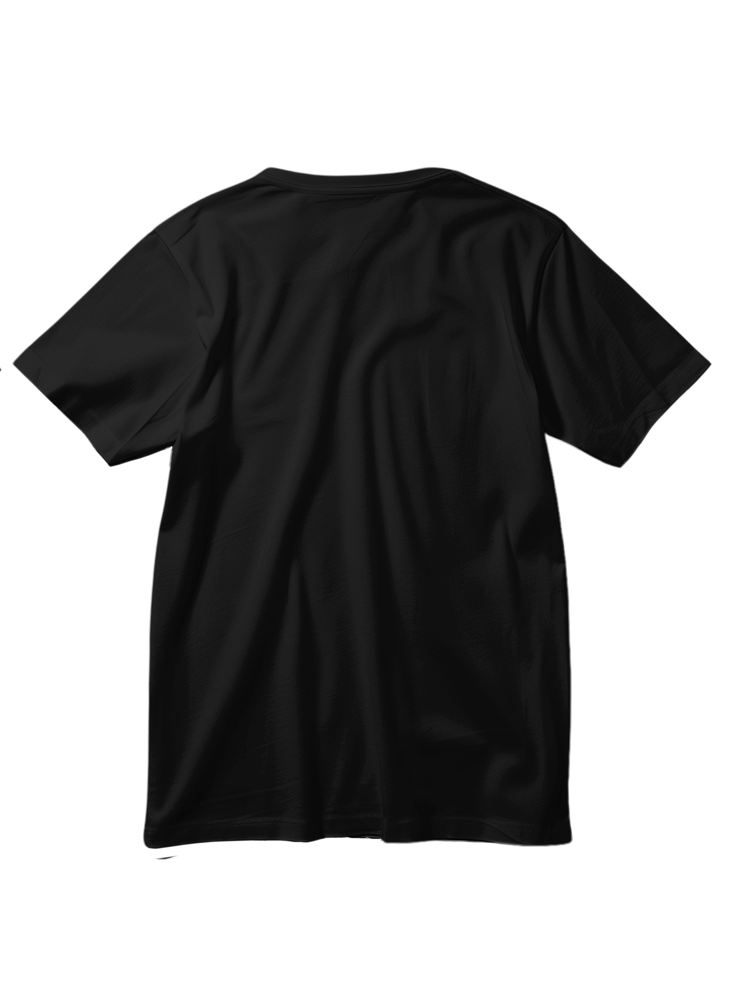 Cockroach Graphic Oversized T-Shirt for Men | Funky Streetwear Tee | Black & White