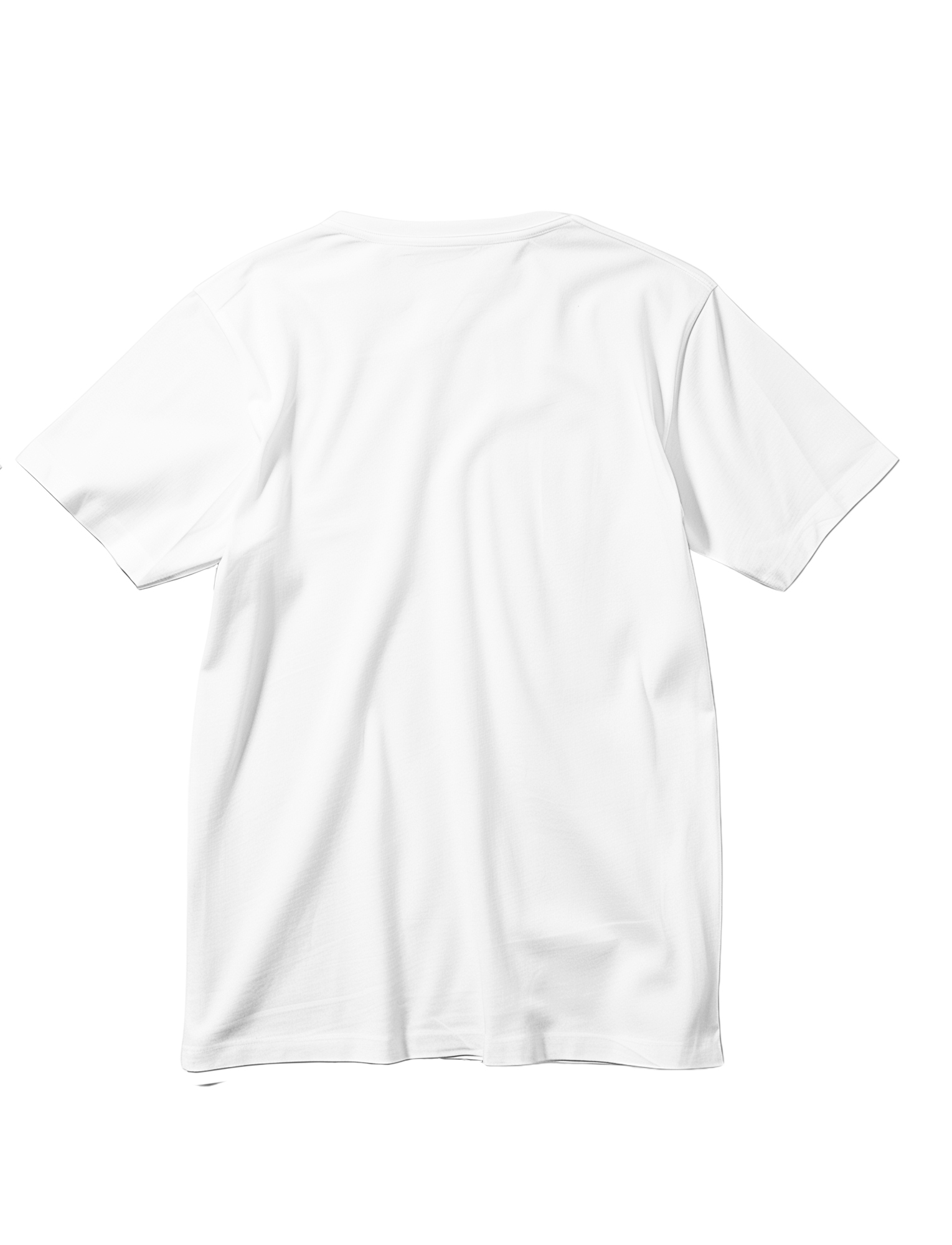 Cockroach Graphic Oversized T-Shirt for Men | Funky Streetwear Tee | Black & White